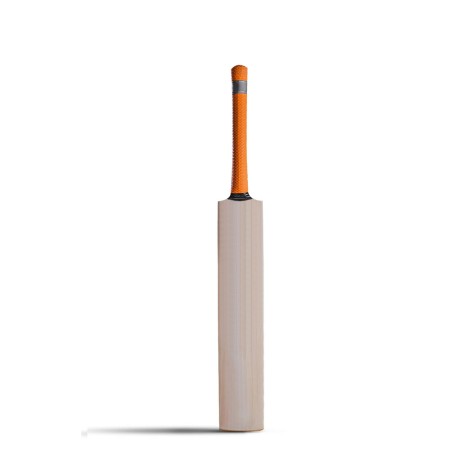 junior Bats junior Bats